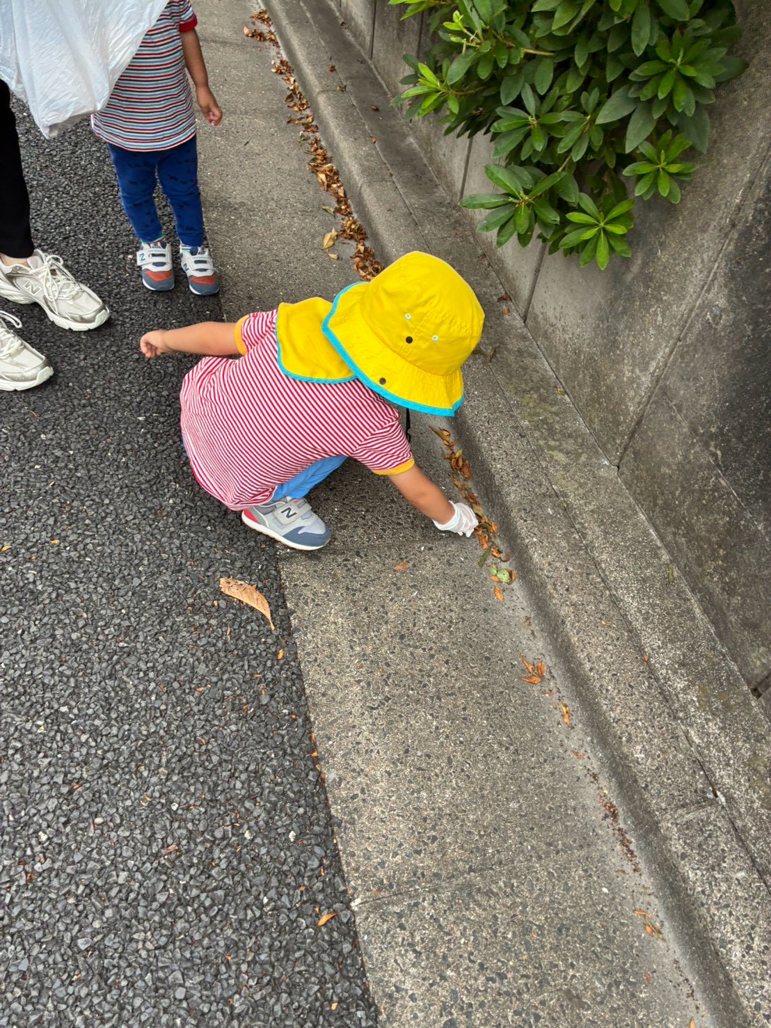 子どもが歩道のすみに落ちているゴミを拾っている様子