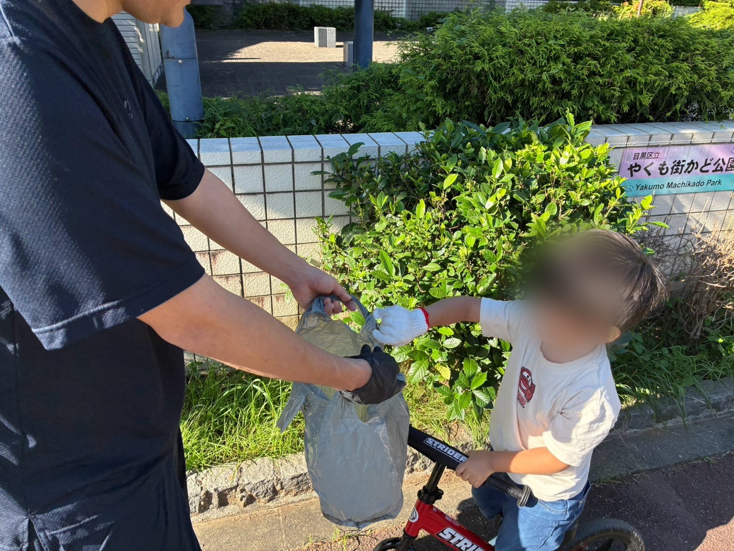 子どもが拾ったゴミを大人の持つ袋へ入れている様子